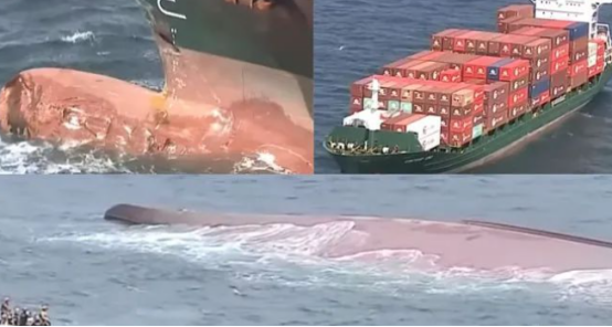 深圳市迅來通國際貨運(yùn)代理有限公司